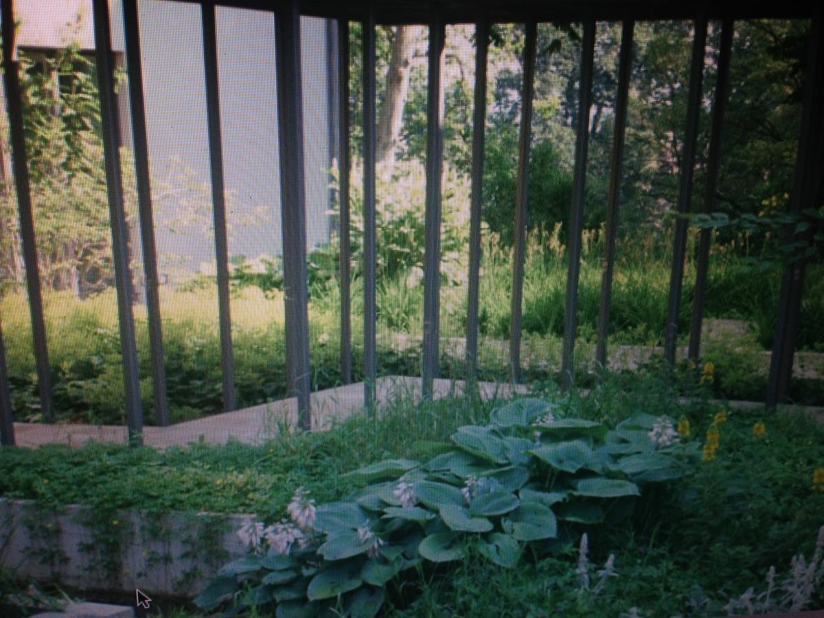 Avliving City Flat Basel With Roof Garden Exterior photo